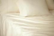 Certified Organic Cotton - Percale Pillow Case
